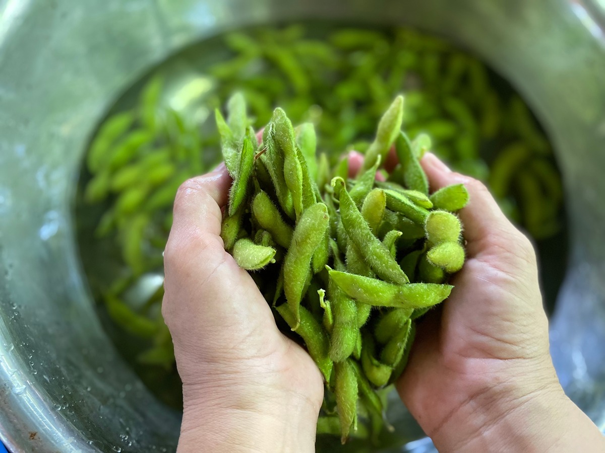 6 Benefits of Edamame Beans You Should Know About